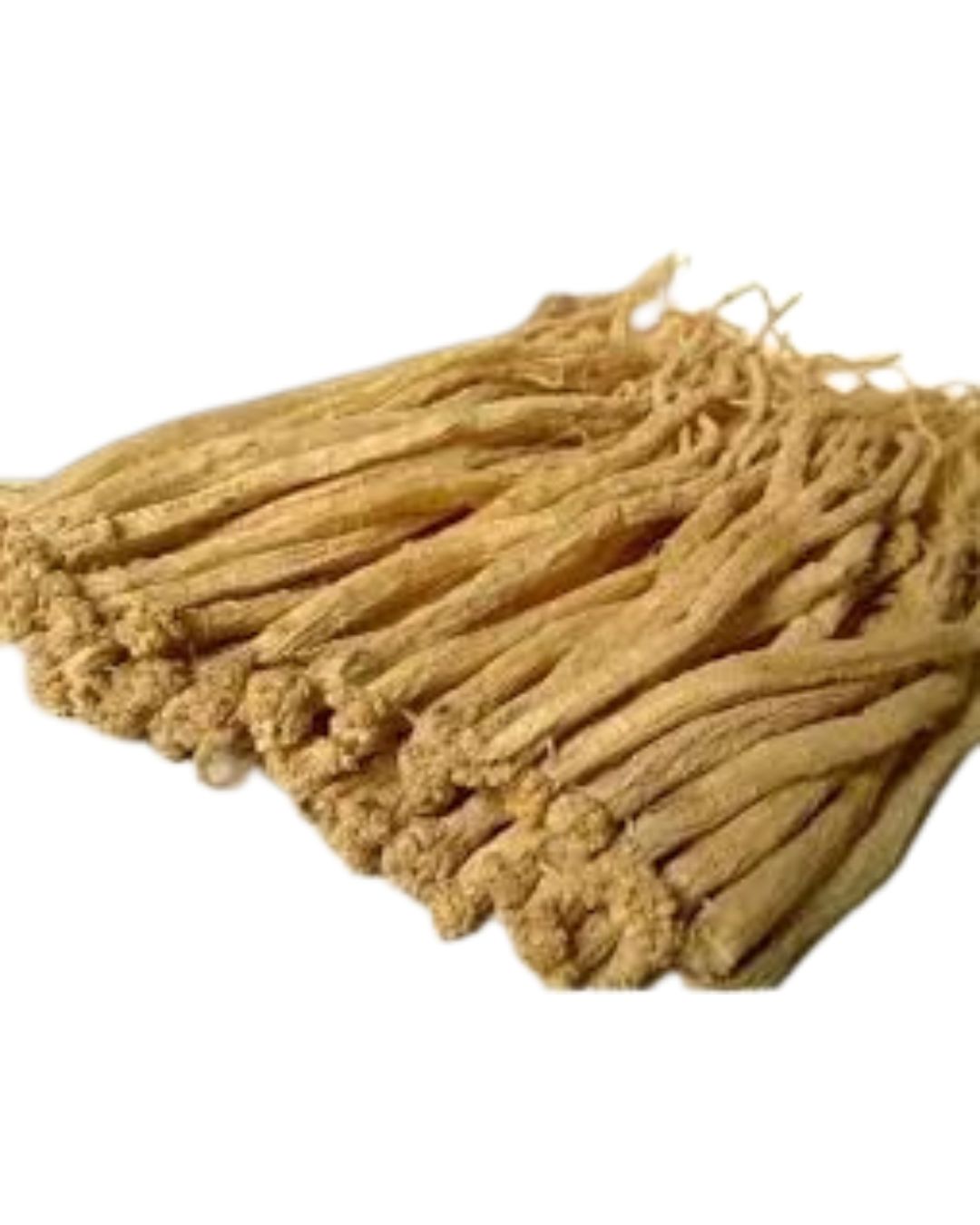 ROOF OF PIILOSE (SUPER 1) 特级党参王1等 TONG SAM (CODONOPSIS ROOT)